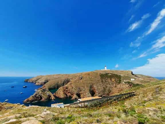 Foto da Ilha da Berlenga