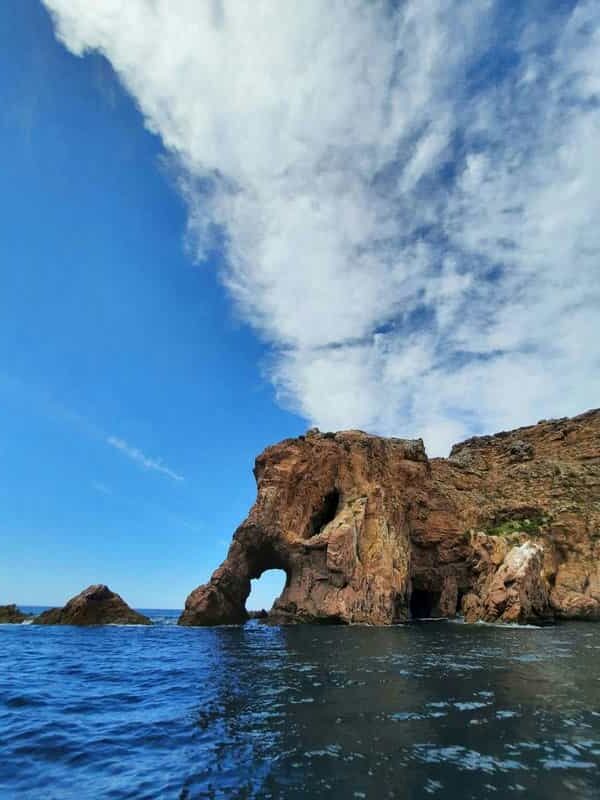 Foto do Rochedo Tromba de Elefante na Berlenga